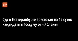 Суд в Екатеринбурге арестовал на 12 суток кандидата в Госдуму от «Яблока»